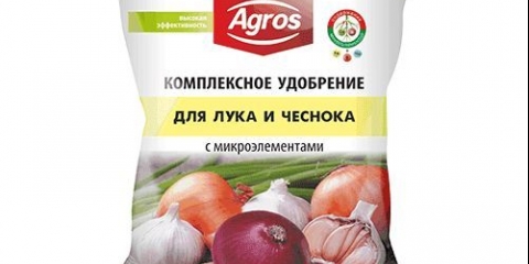 Višegodišnji luk - sorte za zelenilo, sadnju i njegu na otvorenom polju